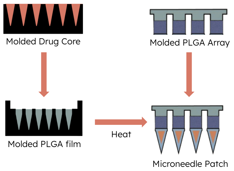 Microneedle project image MN4