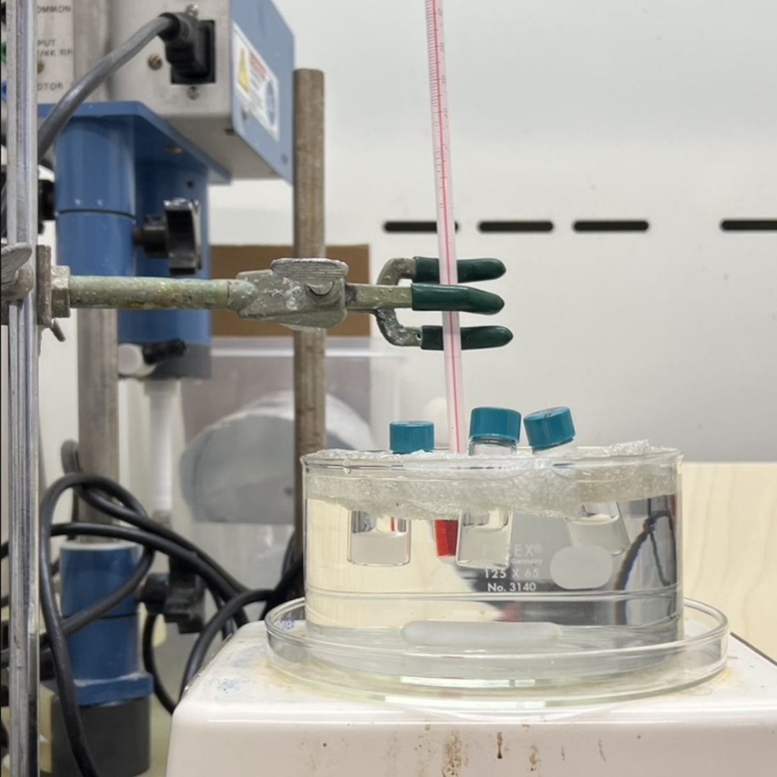 Microneedle project image MN3