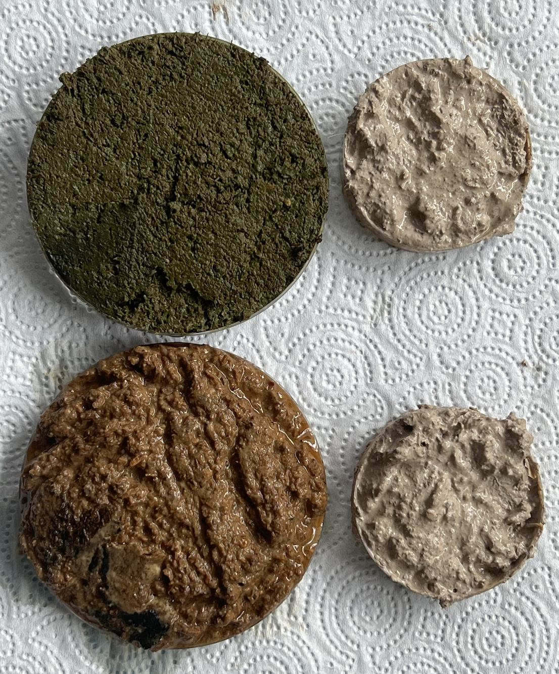 Microneedle project image MN3