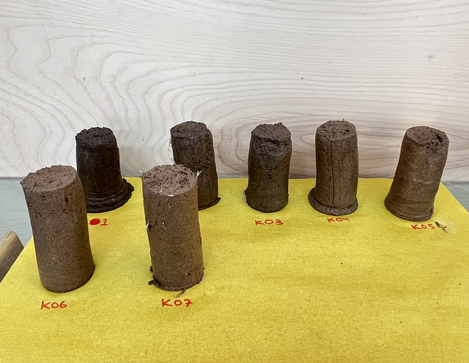 Microneedle project image MN3